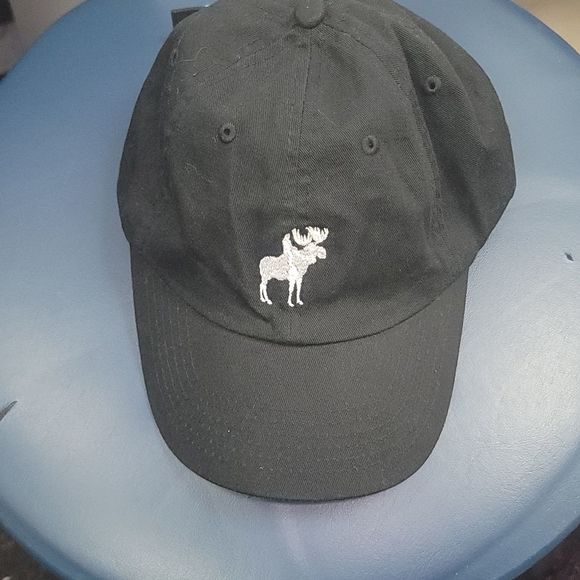 Nwot moose cap - Picture 1 of 3